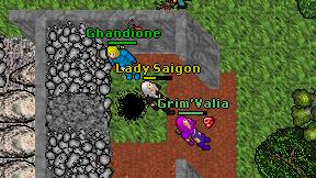 Lady Saigon on screen
