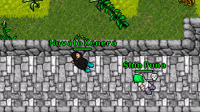 Novato Xenera on screen
