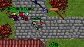 Yawex on screen