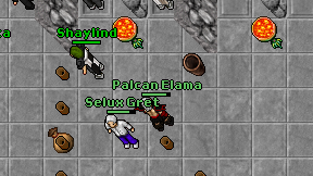 Palcan Elama on screen