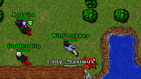Wild'Makker on screen