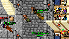 Sareawok on screen