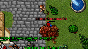 Niver Boremath on screen