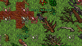 Herr Storm on screen