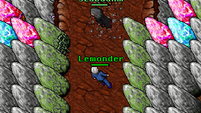 Lemonder on screen