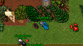 Falski on screen
