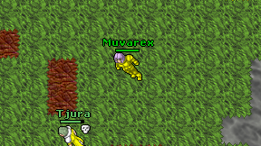 Muvarex on screen