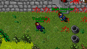 Tockito on screen