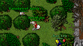 Xeri Rala on screen