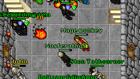 Mage monkey on screen
