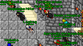 Toribow druid on screen