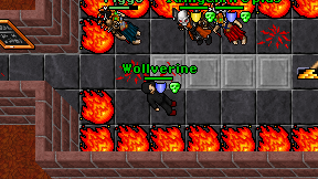Wollverine on screen