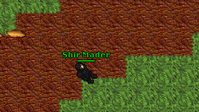 Shir Mader on screen
