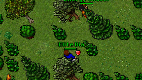Elite Bia on screen