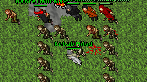 Kebab Milad on screen