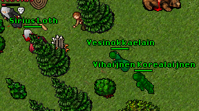 Vesinokkaelain on screen