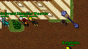 Domis Druid on screen