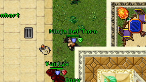 Ninja Del'Toro on screen
