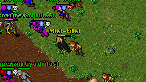 Mial-Mial on screen