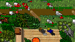 Maly Debilek on screen