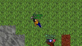 Tokii on screen