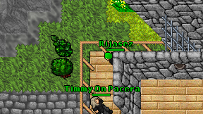 Rijasez on screen