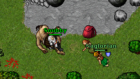 Snubby on screen
