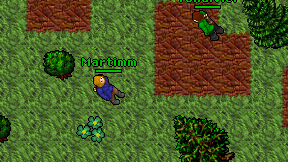 Martimm on screen