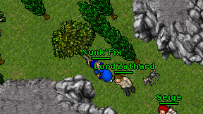 Nunk'Fix on screen