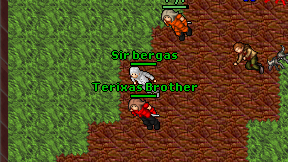 Terixas Brother on screen