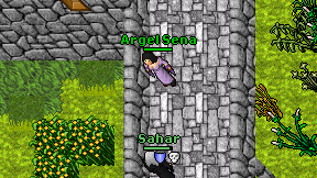 Argel Sena on screen