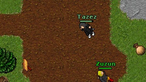 Tazez on screen