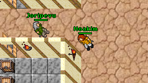 Hoakim on screen