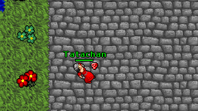 Tatachan on screen