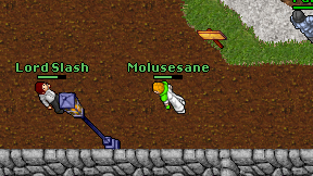 Molusesane on screen
