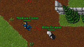 Mokus Cone on screen