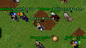 Joker Wizz on screen