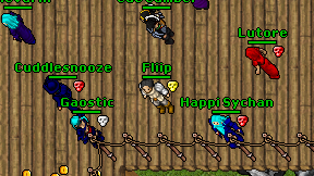 Fliip on screen