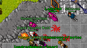 Snoop Custon on screen