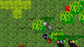 Anilord on screen
