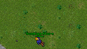 Sunkiga Sture on screen