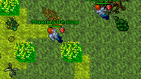 Maxima Decium on screen