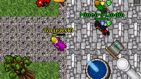 Gajewski on screen
