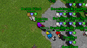 Kantix on screen