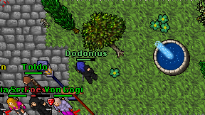 Dodonius on screen