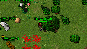Ilowellyn on screen