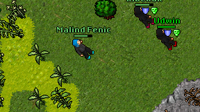 Malind Fenic on screen