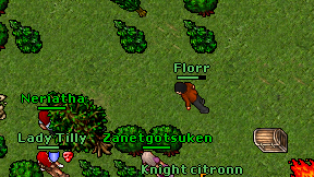 Florr on screen