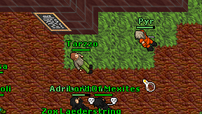 Tarzzo on screen