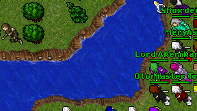 Could Frog on screen